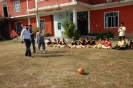 Sports